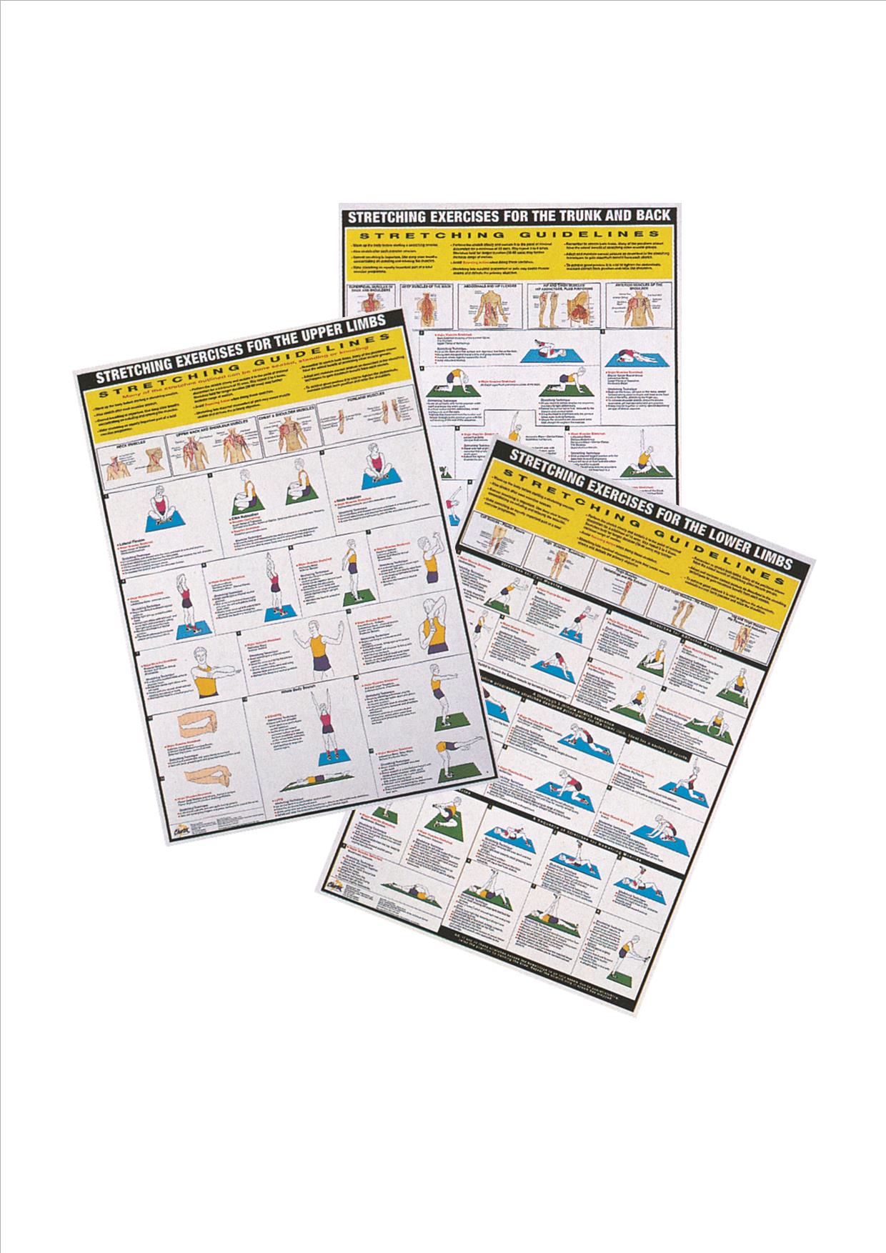 Stretch Exercise Series - Set of 3 A1 Charts